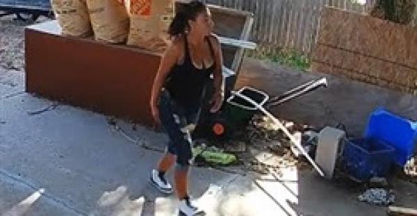 بالفيديو.. 3 كلاب تفاجئ فتاة أثناء سرقتها لأحد المنازل