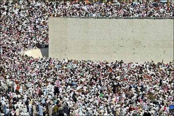 دعوة الى سحب ادارة الحج من السعودية و منحها لمنظمة المؤتمر الاسلامي  