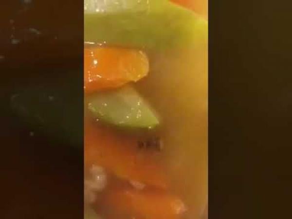 وجبة بـ"الصراصير" تتسبب في إغلاق 6 فروع لمطعم شهير في مكة بالسعودية!