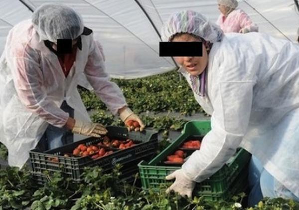 دول خليجية مهتمة باليد العاملة‮ ‬المغربية