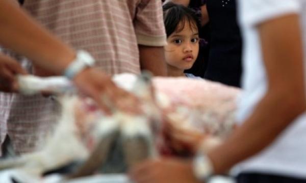 ذبح أضحية العيد أمام الأطفال قد يعرضهم لصدمات نفسية	