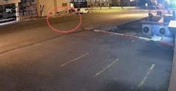 لقطات غريبة لشبح طائر تثير حيرة الإنترنت (فيديو)