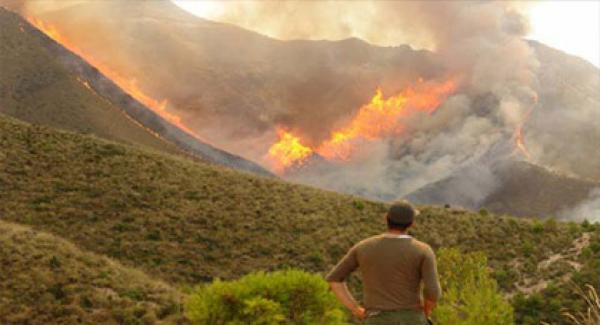 سلطات مليلية المحتلة توجه اتهامات خطيرة للمغرب بخصوص احتراق غابة كوروكو ببني نصار