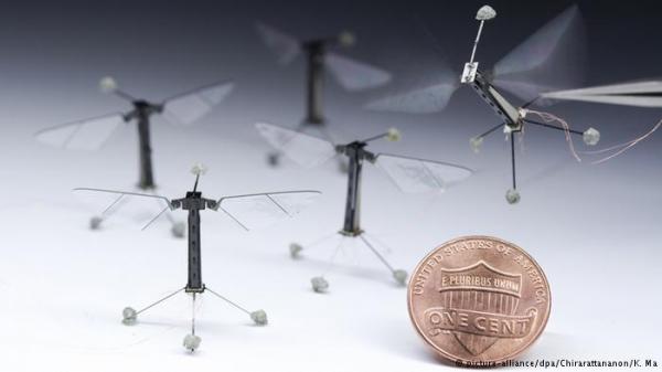 تطوير حشرة طائرة يمكنها أن تحط على مختلف الأسطح