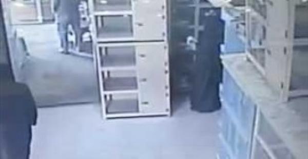 بالفيديو.. «منتقبة» تسرق «قطة» من محل حيوانات وتخفيها أسفل عباءتها