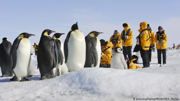 الإقامة الطويلة بالقطب الجنوبي تسبب انكماشا في المخ