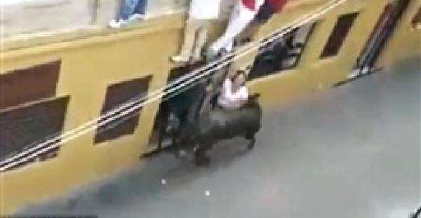 بالفيديو .. امرأة تتلقى ضربة قاتلة من بقرة في مهرجان إسباني