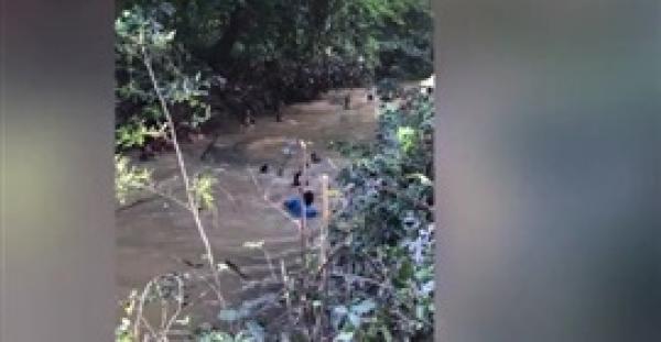 قرويون ينقذون سمكة ضخمة جرفها الفيضان (فيديو)