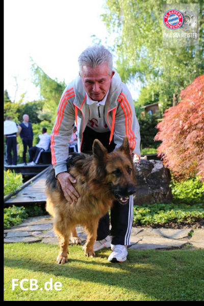 هاينكس يفضل كلابه على تدريب برشلونة!