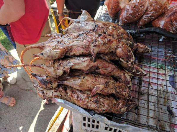 الفئران تتحول إلى طبق رئيسي في زمن "كورونا" (فيديو)