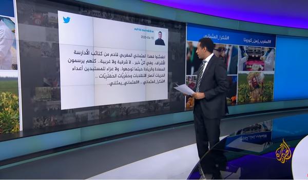 قصة الحملة المغربية لمواجهة شائعات "إماراتية" على قناة الجزيرة