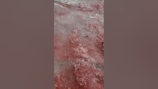 تحول نهر جليدي إلى سيل أحمر اللون في جمهورية ألتاي(فيديو)