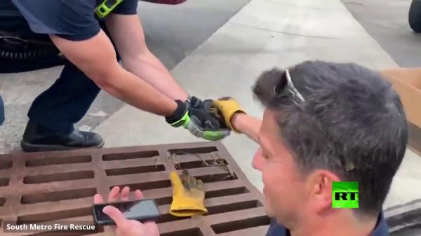 شاهد.. رجل إطفاء يلجأ لـ"يوتيوب" لإنقاذ فراخ بط عالقة