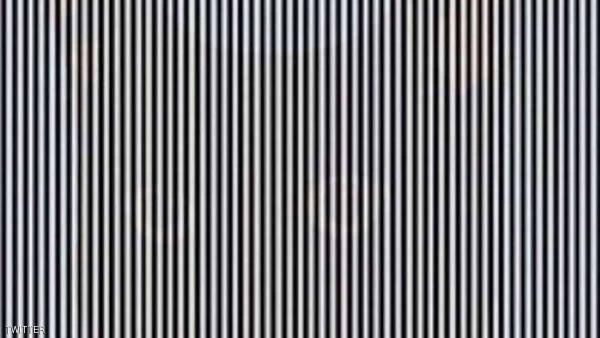 هل باستطاعتك تمييز حيوان في هذه الصورة؟