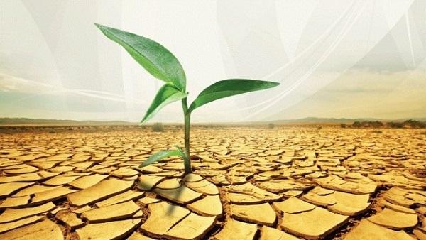 طرق الصدقة الجارية التي ستشفع لك بعد موتك