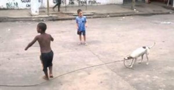 بالفيديو.. لقطات طريفة لكلب يلعب مع أصحابه بالحبل