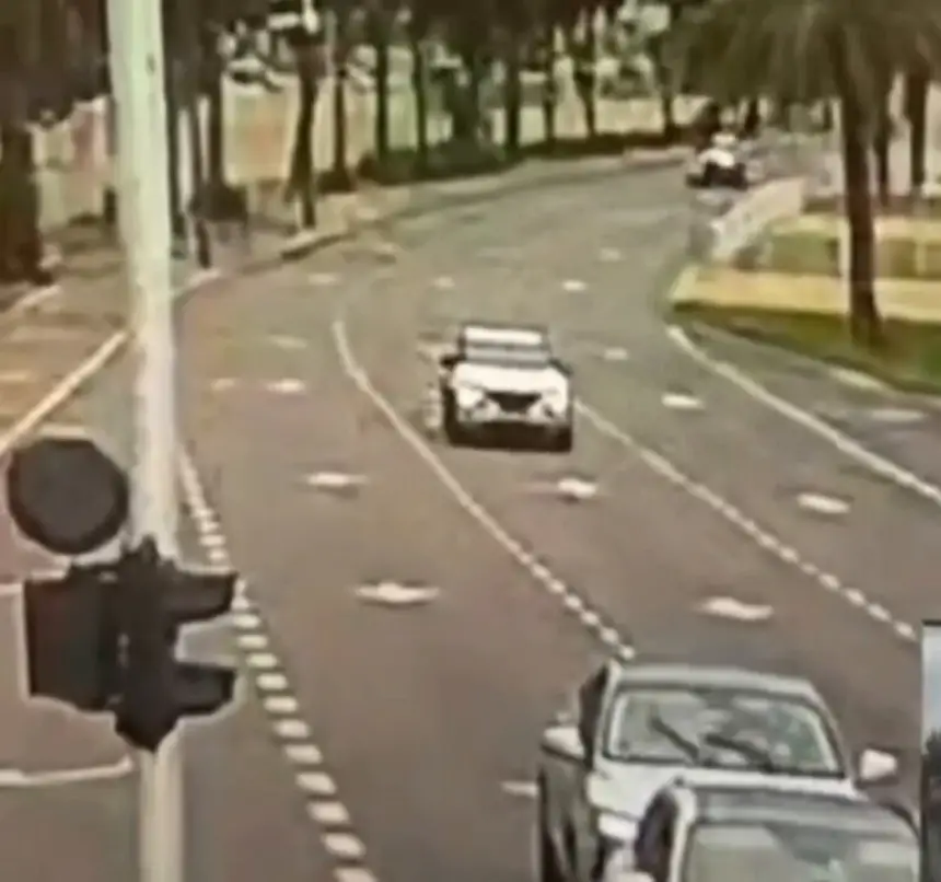 بالفيديو..رياح قوية تقتلع شجرة وتتسبب في حادث سيارة على طريق رئيسي في إسرائيل