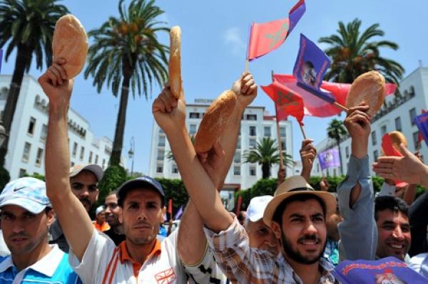 محلّلٌ اقتصاديٌّ يَكشف لـ"أخبارنا" موقفه من برنامج "أوراش" الرامي إلى إحداث 250 ألف فرصة شغل