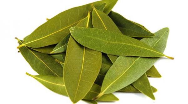 5 فوائد صحية رائعة لأوراق الغار