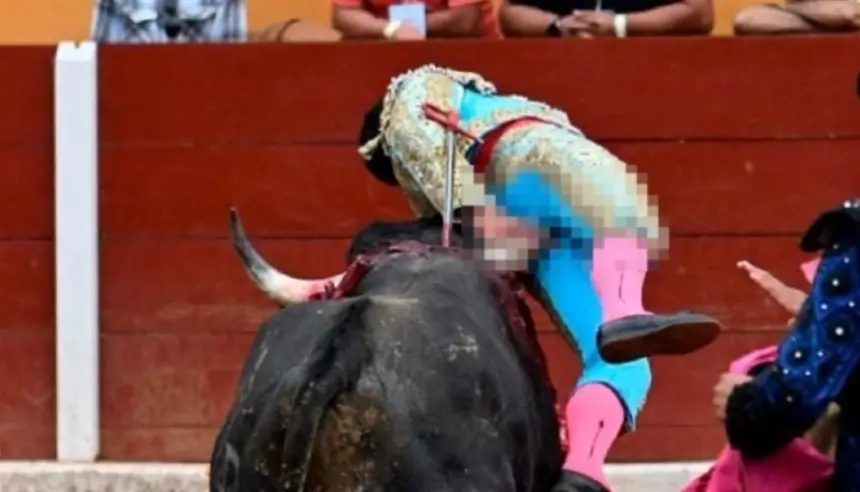 ثور هائج يطرح مصارعًا مكسيكيًا أرضًا ويصيبه بجروح خطيرة