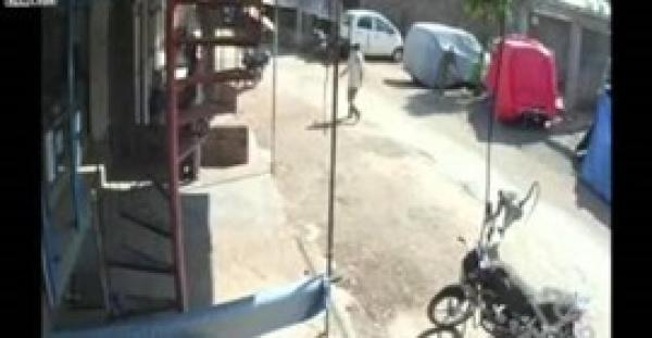 بالفيديو.. قرد يسقط رجلا بركلة طائرة مزدوجة