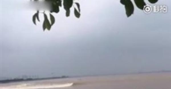 بالفيديو.. موجة تخطف عشرات في الصين