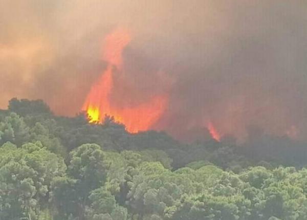 تفاصيل الحريق المدمر الذي أتى على مساحات غابوية واسعة نواحي تطوان