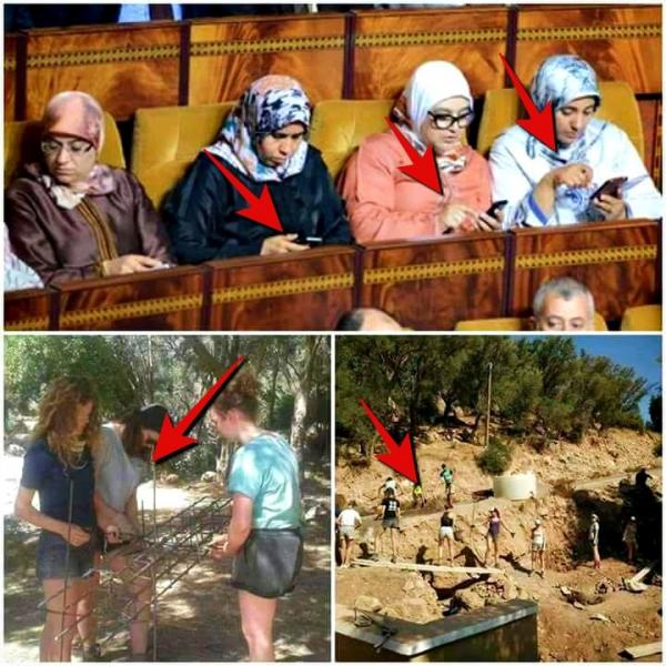 فيسبوكيون : ألمانيات يتطوعن لفك العزلة عن " مهمشين " و برلمانيات محجبات منشغلات باللهو و " الفلوس داخلة "