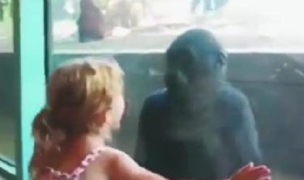 بالفيديو : مشاهد مضحكة ومخيفة لأطفال داخل حديقة الحيوانات