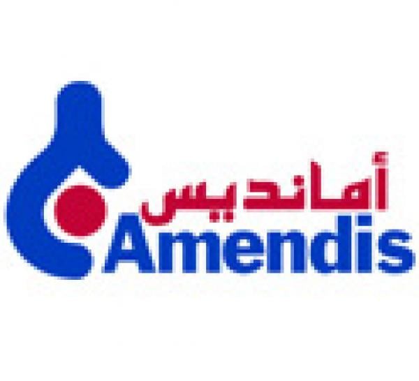 منح شهادتي \"إيزو\" و\"أوهساس\" لنظام تدبير الجودة والسلامة في العمل لشركة \"أمانديس تطوان\" 