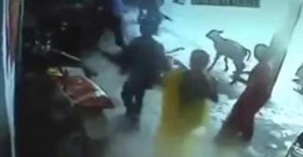 بالفيديو.. بقرة تهاجم رجلا حاول قتل ابنته انتقامًا لشرفه