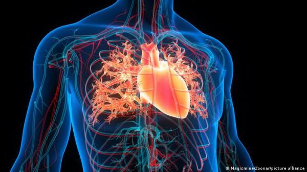 قلب من متبرع مجهول يمنح رجلا "32 عاما إضافية من الحياة"