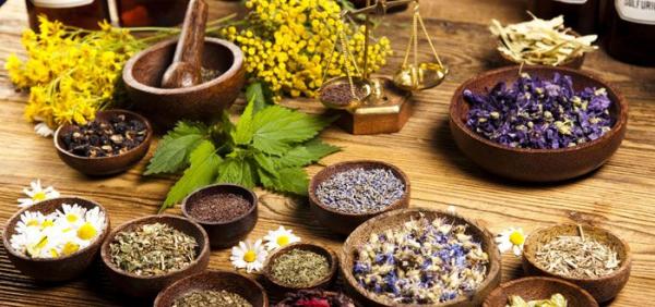 المغرب يواصل تطوير قطاعه الزراعي ويصبح الثاني عالميا في إنتاج النباتات الطبية والعطرية