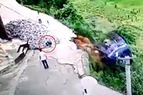 بالفيديو: سائق يقفز من شاحنته قبل سقوطها في الوادي