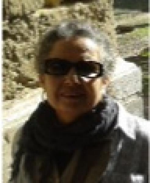 "يوصيكم" لا تحرم المساواة في الإرث