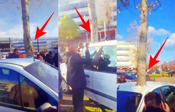 الفيديو الذي حير العالم: "شجرة" تخترق "سيارة" وسط ذهول الجميع (فيديو)