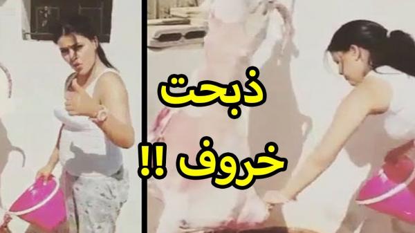بالفيديو: حسناء مغربية تُشعل مواقع التواصل ببراعتها في "سلخ " أضحية العيد