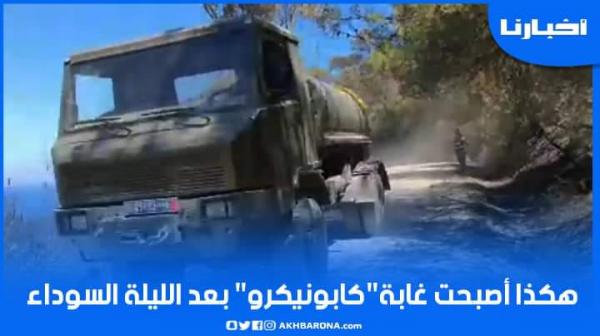 حريق غابة "كابونيكرو".. هكذا أصبحت "كدية الطيفور" بعد ليلة سوداء