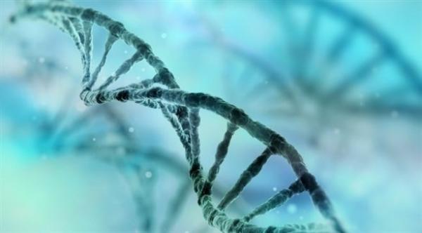 علماء يعلنون اقتراب موعد "القضاء على الموت" بسبب مشاكل القلب