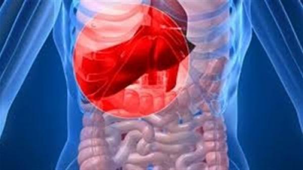 7 طرق للحفاظ على صحة الكبد