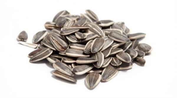 بذور عباد الشمس: فوائد لا تحصى يجهلها العديد من الأشخاص