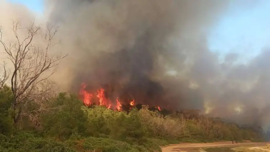 طنجة: التحقيق مع مشتبه به في حريق غابة هوارة بعد العثور على أدوات مثيرة للشبهات