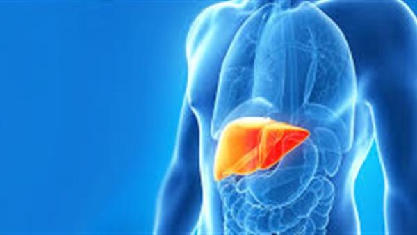 استشاري تغذية يقدم الحل الأفضل لتنظيف الكبد من السموم