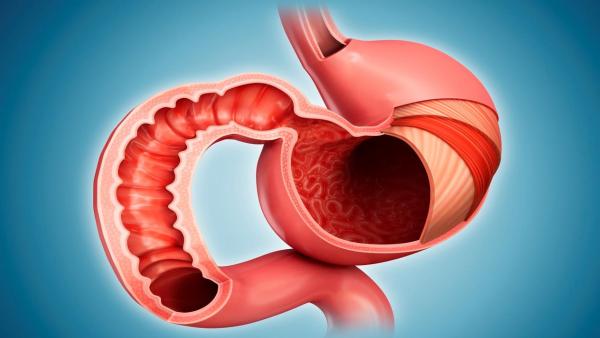 كيف تحافظ على جهازك الهضمي بتقدم العمر؟