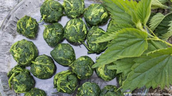 نصائح لطرق استخدام نبات القراص لتخفيف آلام المفاصل