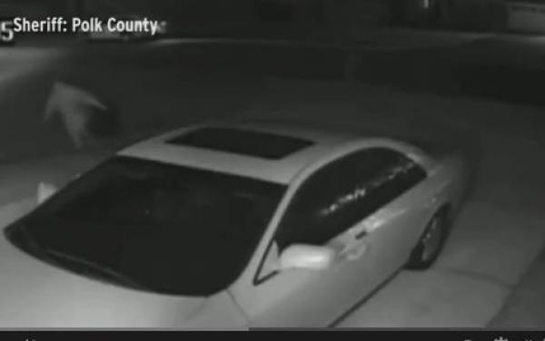 بالفيديو: زوجة شرطي تسرق منزل شرطي آخر