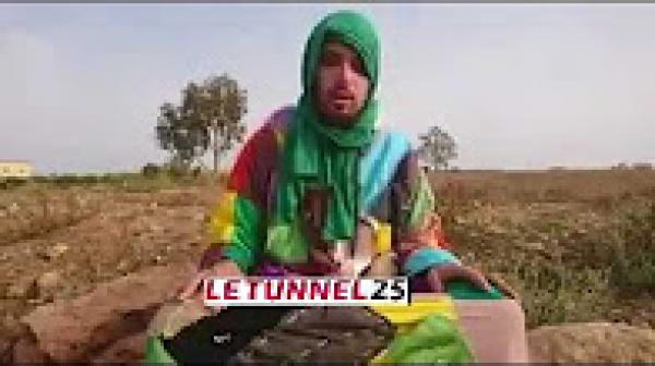 عضو الزاوية الكركرية : التقيت الأنبياء وصعدت إلى السماء