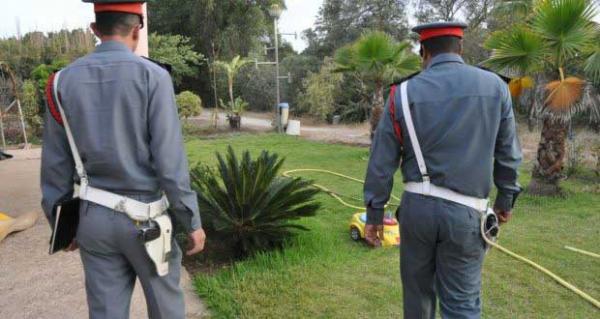 في مشهد صادم...رأس مقطوعة يستنفر السلطات الأمنية بالفحص أنجرة