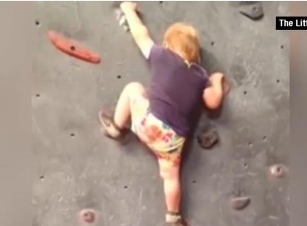 بالفيديو.. رضيعة تتسلق الجدران رغم عدم قدرتها على المشي!