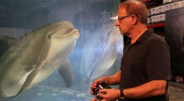 دولفين آلي يمكن أن يحل محل الحيوانات الأسيرة في المتنزهات